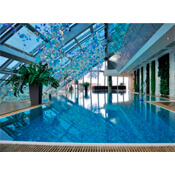 Абонемент на 1 год в фитнес клуб Wellness Club «NEBO» Абонемент на 1 год в фитнес клуб Wellness Club «NEBO»